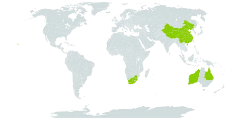 Haematoxylum world distribution map, present in Australia, China, United States of America, and South Africa