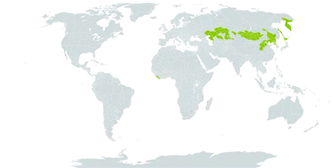 Halenia corniculata world distribution map, present in China, Japan, Kazakhstan, Liberia, Mongolia, Korea (Democratic People's Republic of), and Russian Federation