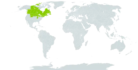 Halenia deflexa world distribution map, present in Canada, France, Saint Pierre and Miquelon, and United States of America