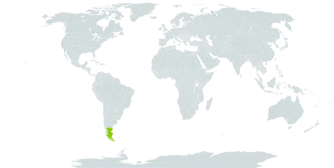 Hamadryas kingii world distribution map, present in Argentina, Chile, and Uruguay