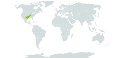 Hamamelis vernalis world distribution map, present in United States of America