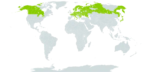 Hammarbya paludosa world distribution map, present in Austria, Bulgaria, Belarus, Canada, Switzerland, Czech Republic, Germany, Denmark, Finland, France, Hungary, Ireland, Italy, Japan, Netherlands, Norway, Poland, Romania, Russian Federation, Sweden, Ukraine, and United States of America