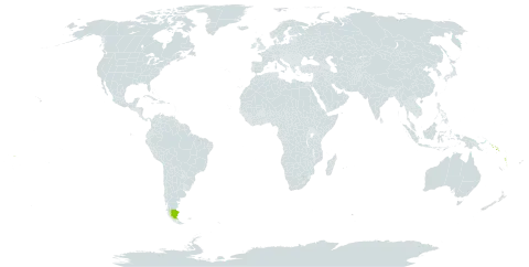 Haplolobus floribundus subsp. salomonensis world distribution map, present in Argentina, Solomon Islands, Vanuatu, and Samoa