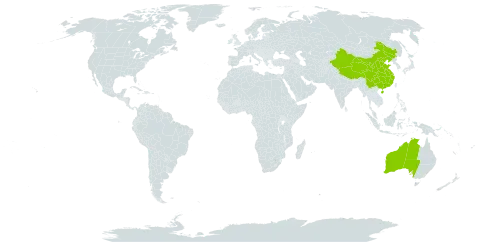 Haplopteris world distribution map, present in Australia and China