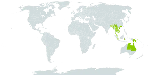 Harpullia cupanioides world distribution map, present in Australia, Bangladesh, China, Indonesia, India, Cambodia, Lao People's Democratic Republic, Myanmar, Malaysia, Philippines, Papua New Guinea, Thailand, and Viet Nam