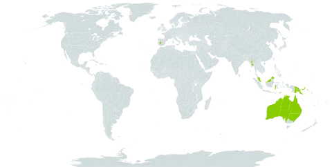 Harrisonia brownii world distribution map, present in Australia, Spain, Indonesia, India, Myanmar, Malaysia, Philippines, Papua New Guinea, Timor-Leste, and Uruguay