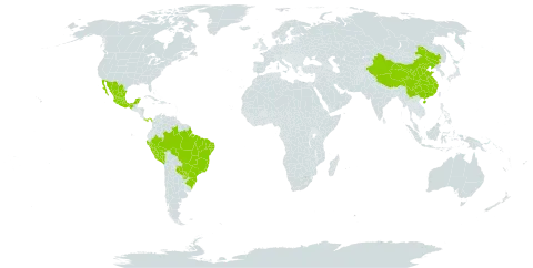 Hedyosmum world distribution map, present in Brazil, China, Mexico, Panama, Peru, and Paraguay