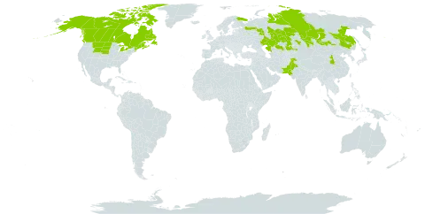 Hedysarum alpinum world distribution map, present in Canada, China, India, Kazakhstan, Mongolia, Pakistan, Russian Federation, and United States of America