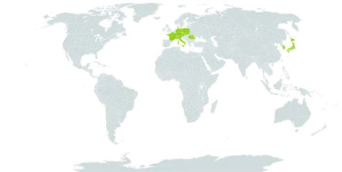 Hedysarum hedysaroides world distribution map, present in Austria, Switzerland, Czech Republic, Germany, France, Italy, Japan, Korea (Republic of), Liechtenstein, Poland, Romania, and Slovakia