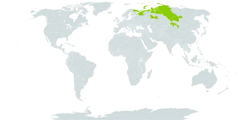 Hedysarum hedysaroides subsp. arcticum world distribution map, present in Mongolia and Russian Federation