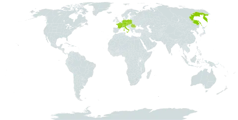 Hedysarum hedysaroides subsp. hedysaroides world distribution map, present in Austria, Switzerland, Czech Republic, Germany, France, Italy, Poland, Romania, Russian Federation, Slovakia, and Ukraine