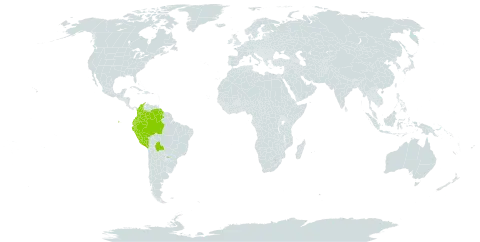 Helia angustifolia world distribution map, present in Bolivia (Plurinational State of), Brazil, Colombia, Ecuador, Guyana, Peru, Paraguay, and Venezuela (Bolivarian Republic of)