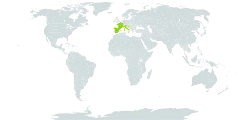 Helianthemum oelandicum subsp. italicum world distribution map, present in Spain, France, Croatia, Italy, Montenegro, and Serbia