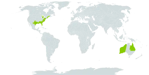 Helianthus debilis world distribution map, present in Australia and United States of America