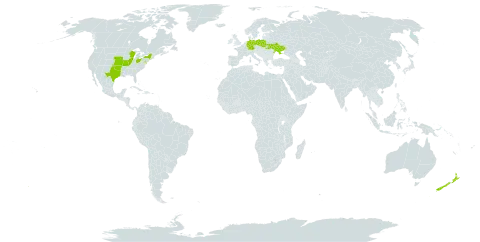 Helianthus salicifolius world distribution map, present in Germany, New Zealand, Poland, Ukraine, and United States of America