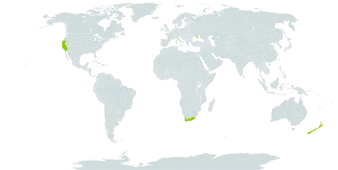 Helichrysum petiolare world distribution map, present in Spain, France, United Kingdom of Great Britain and Northern Ireland, New Zealand, Portugal, Ukraine, United States of America, and South Africa