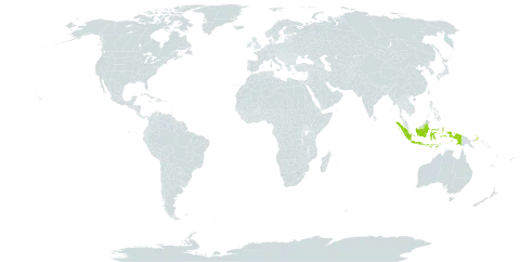 Helicia uganensis world distribution map, present in Indonesia and Papua New Guinea