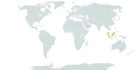 Heliciopsis incisa world distribution map, present in Gambia, Indonesia, Myanmar, Malaysia, and New Zealand