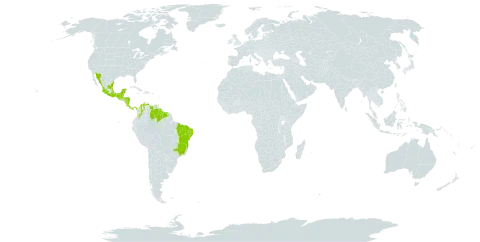 Helicteres baruensis world distribution map, present in Belize, Brazil, Colombia, Costa Rica, Guatemala, Guyana, Honduras, Mexico, Martinique, Nicaragua, Panama, Suriname, Trinidad and Tobago, and Venezuela (Bolivarian Republic of)