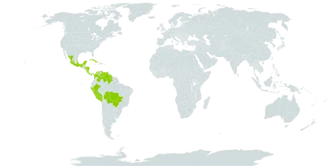 Helicteres guazumifolia world distribution map, present in Belize, Bolivia (Plurinational State of), Brazil, Colombia, Costa Rica, Cuba, Guyana, Honduras, Mexico, Nicaragua, Panama, Peru, and Venezuela (Bolivarian Republic of)