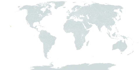 Heliotropium anomalum world distribution map, present in Cook Islands, Micronesia (Federated States of), Northern Mariana Islands, Niue, Pitcairn, United States Minor Outlying Islands, and United States of America