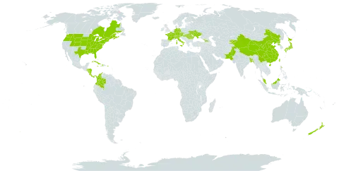 Hemerocallis fulva world distribution map, present in Åland Islands, Austria, Bangladesh, Canada, Switzerland, China, Colombia, Costa Rica, Cuba, Czech Republic, Germany, Dominica, France, Micronesia (Federated States of), Georgia, Honduras, Haiti, Hungary, Italy, Jamaica, Japan, Kyrgyzstan, Malaysia, Nicaragua, Nepal, New Zealand, Pakistan, Panama, Puerto Rico, Korea (Democratic People's Republic of), Romania, Turks and Caicos Islands, Taiwan, Province of China, Ukraine, and United States of America