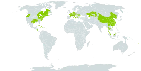 Hemerocallis lilioasphodelus world distribution map, present in Albania, Austria, Canada, China, Cuba, Czech Republic, Germany, Dominica, Fiji, France, Micronesia (Federated States of), Haiti, Hungary, Italy, Jamaica, Kazakhstan, Montenegro, Malaysia, Nicaragua, Puerto Rico, Korea (Democratic People's Republic of), Romania, Thailand, and United States of America