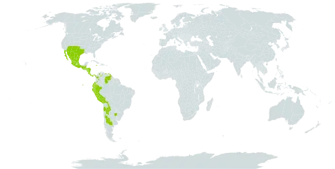 Hemionitis bonariensis world distribution map, present in Argentina, Belize, Bolivia (Plurinational State of), Chile, Colombia, Costa Rica, Ecuador, Guatemala, Honduras, Jamaica, Mexico, Nicaragua, Panama, Peru, United States of America, and Venezuela (Bolivarian Republic of)