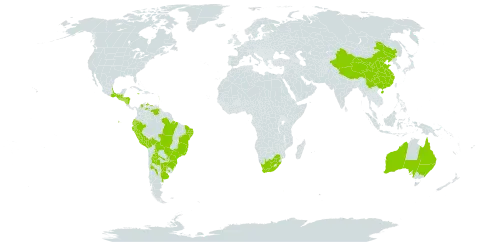 Hemionitis concolor world distribution map, present in Argentina, Australia, Bonaire, Sint Eustatius and Saba, Bolivia (Plurinational State of), Brazil, China, Colombia, Ecuador, Guadeloupe, Grenada, Guatemala, Honduras, Jamaica, Mexico, Martinique, Nicaragua, Peru, Paraguay, El Salvador, Uruguay, Saint Vincent and the Grenadines, Venezuela (Bolivarian Republic of), and South Africa