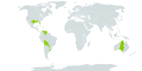 Herbertia world distribution map, present in Australia, Bolivia (Plurinational State of), Paraguay, Uruguay, United States of America, and Venezuela (Bolivarian Republic of)