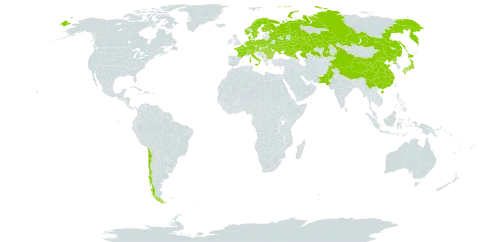 Herminium monorchis world distribution map, present in Austria, Bulgaria, Belarus, Switzerland, Chile, China, Czech Republic, Germany, Denmark, Finland, France, Hungary, Italy, Japan, Kazakhstan, Montenegro, Netherlands, Norway, Nepal, Pakistan, Poland, Korea (Democratic People's Republic of), Romania, Russian Federation, Sweden, and Ukraine