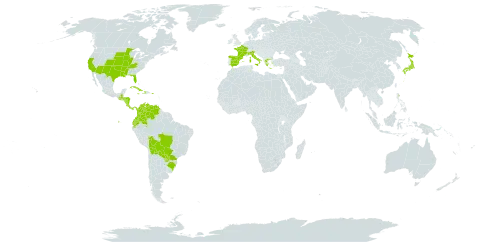 Heteranthera limosa world distribution map, present in Åland Islands, Bolivia (Plurinational State of), Brazil, Colombia, Costa Rica, Cuba, Dominica, Ecuador, Spain, France, Greece, Guatemala, Honduras, Haiti, Italy, Jamaica, Japan, Nicaragua, Panama, Puerto Rico, Paraguay, United States of America, and Venezuela (Bolivarian Republic of)