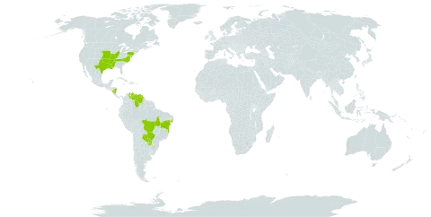 Heteranthera multiflora world distribution map, present in Brazil, Nicaragua, Paraguay, United States of America, and Venezuela (Bolivarian Republic of)