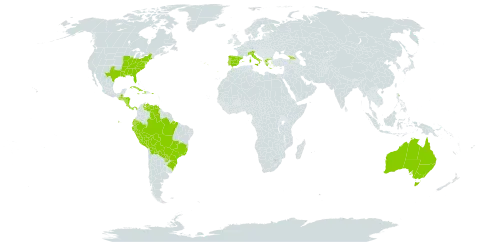 Heteranthera reniformis world distribution map, present in Åland Islands, Australia, Bolivia (Plurinational State of), Brazil, Costa Rica, Cuba, Dominica, Ecuador, Spain, Georgia, Greece, Guatemala, Honduras, Haiti, Italy, Jamaica, Nicaragua, Panama, Peru, Puerto Rico, Portugal, Paraguay, United States of America, and Venezuela (Bolivarian Republic of)