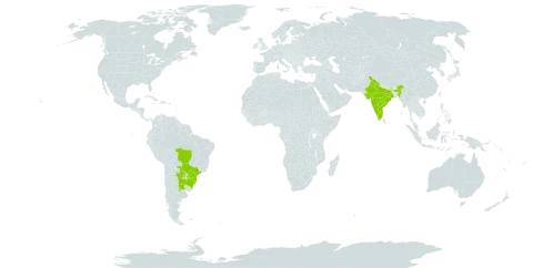 Heteropterys glabra world distribution map, present in Argentina, Brazil, India, Paraguay, and Uruguay