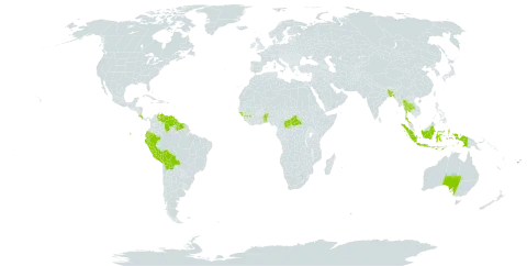 Hevea world distribution map, present in Andorra, Australia, Benin, Bangladesh, Bolivia (Plurinational State of), Central African Republic, Costa Rica, Ecuador, Fiji, Guinea, Guinea-Bissau, Guyana, Indonesia, Peru, Suriname, Togo, Thailand, United States of America, and Venezuela (Bolivarian Republic of)