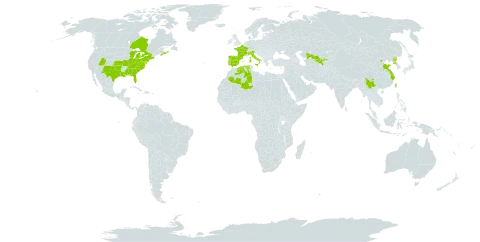 Hibiscus moscheutos world distribution map, present in Canada, China, Algeria, Spain, France, Italy, Korea (Democratic People's Republic of), Portugal, Taiwan, Province of China, United States of America, and Uzbekistan