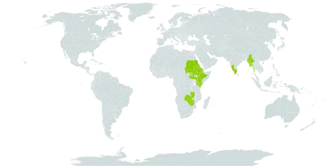 Hibiscus ovalifolius world distribution map, present in Eritrea, Ethiopia, India, Kenya, Sri Lanka, Myanmar, Mauritius, Réunion, Sudan, South Sudan, United States of America, Zambia, and Zimbabwe