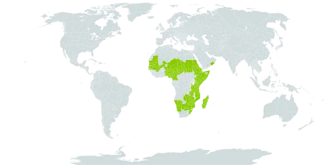 Hibiscus sidiformis world distribution map, present in Benin, Burkina Faso, Botswana, Cameroon, Eritrea, Ethiopia, Kenya, Madagascar, Mali, Mozambique, Mauritania, Malawi, Namibia, Niger, Nigeria, Oman, Réunion, Sudan, Senegal, Somalia, Chad, Tanzania, United Republic of, South Africa, Zambia, and Zimbabwe