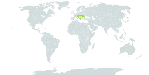 Hieracium brevifolium subsp. hellwegeri world distribution map, present in Austria, Bosnia and Herzegovina, Switzerland, Croatia, Hungary, Italy, Montenegro, and Romania