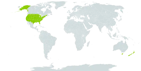 Hieracium world distribution map, present in Australia, New Zealand, and United States of America