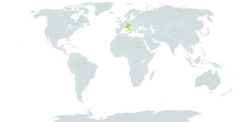 Hieracium pilosum subsp. laniceps world distribution map, present in Austria, Germany, Italy, and Slovenia