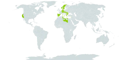 Hippocrepis emerus world distribution map, present in Albania, Austria, Belgium, Bulgaria, Switzerland, Cyprus, Czech Republic, Germany, Denmark, Spain, France, Greece, Hungary, Italy, Lebanon, Libya, Liechtenstein, Luxembourg, Malta, Mauritius, Norway, Romania, Slovakia, Sweden, Tunisia, and United States of America