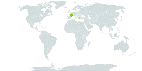 Hippocrepis glauca world distribution map, present in Albania, France, Greece, and Italy