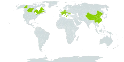 Hippophae rhamnoides world distribution map, present in Austria, Belgium, Canada, Switzerland, China, Germany, France, United Kingdom of Great Britain and Northern Ireland, Italy, Liechtenstein, Netherlands, Romania, and Slovakia