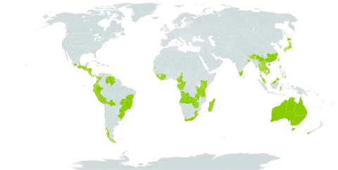 Histiopteris incisa world distribution map, present in Angola, American Samoa, Australia, Burundi, Bolivia (Plurinational State of), Brazil, Bhutan, Chile, China, Côte d'Ivoire, Cameroon, Congo, Cook Islands, Colombia, Costa Rica, Dominica, Ecuador, Micronesia (Federated States of), Gabon, Guinea, Guadeloupe, Equatorial Guinea, Guatemala, Guyana, Honduras, Indonesia, India, Jamaica, Japan, Kenya, Cambodia, Lao People's Democratic Republic, Liberia, Sri Lanka, Madagascar, Mexico, Myanmar, Northern Mariana Islands, Mauritius, Malawi, Malaysia, Nicaragua, Nepal, New Zealand, Panama, Peru, Philippines, Papua New Guinea, Puerto Rico, Réunion, Rwanda, Singapore, Saint Helena, Ascension and Tristan da Cunha, Solomon Islands, Sierra Leone, El Salvador, Sao Tome and Principe, Seychelles, Thailand, Tonga, Taiwan, Province of China, Tanzania, United Republic of, Uganda, United States of America, Venezuela (Bolivarian Republic of), Viet Nam, Vanuatu, Samoa, South Africa, Zambia, and Zimbabwe