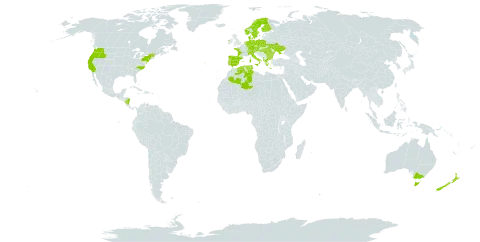 Holcus mollis world distribution map, present in Albania, Australia, Austria, Bulgaria, Switzerland, Czech Republic, Germany, Denmark, Algeria, Spain, Finland, France, Greece, Hungary, Ireland, Italy, Nicaragua, Netherlands, Norway, New Zealand, Poland, Portugal, Romania, Sweden, Tunisia, Ukraine, and United States of America