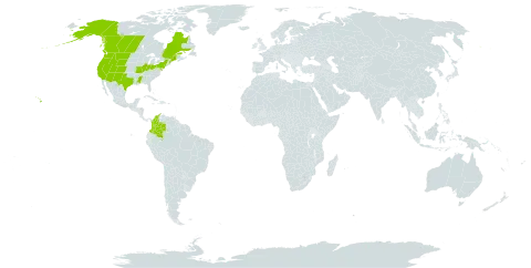 Hordeum brachyantherum world distribution map, present in Canada, Colombia, and United States of America