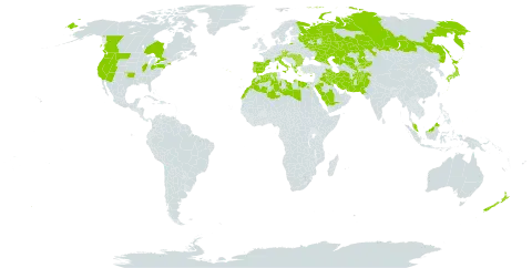 Hordeum marinum subsp. gussoneanum world distribution map, present in Afghanistan, Albania, Austria, Bulgaria, Canada, Cyprus, Czech Republic, Algeria, Egypt, Spain, France, Greece, Hungary, Iran (Islamic Republic of), Iraq, Italy, Japan, Kazakhstan, Kyrgyzstan, Kuwait, Libya, Morocco, Malaysia, New Zealand, Pakistan, Palau, Portugal, Romania, Russian Federation, Saudi Arabia, Turks and Caicos Islands, United States of America, and Uzbekistan