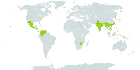 Hoya carnosa world distribution map, present in Bhutan, China, Colombia, Fiji, Honduras, India, Lao People's Democratic Republic, Mexico, Myanmar, Malaysia, Panama, Philippines, Korea (Democratic People's Republic of), Trinidad and Tobago, Taiwan, Province of China, United States of America, Venezuela (Bolivarian Republic of), Viet Nam, and Zimbabwe